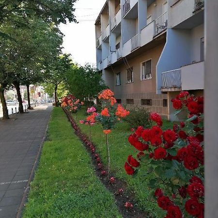 Apartman Borak Apartment Kladovo Exterior photo